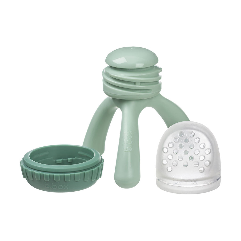Grignoteuse en silicone - sauge