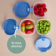 Boîtes à snack - berry