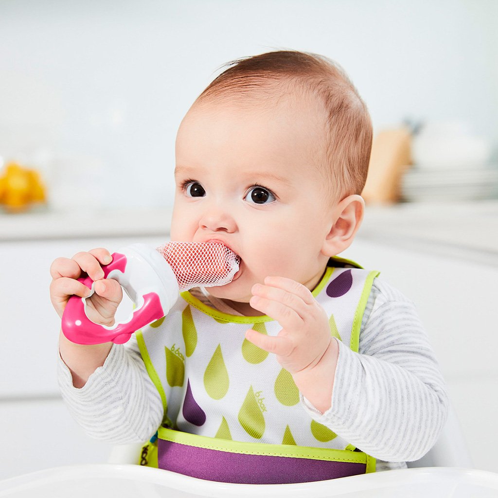 fresh food feeder - raspberry - b.box for kids