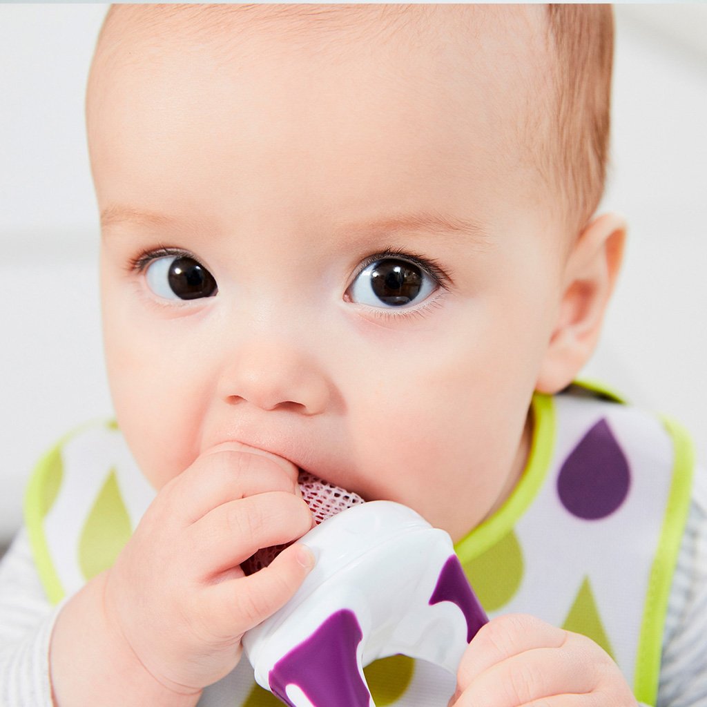 fresh food feeder - grape - b.box for kids